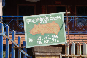 Kampot-10