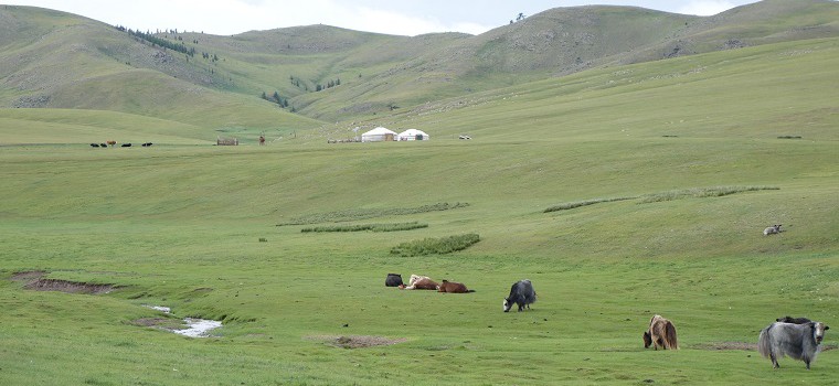 Mon voyage en Mongolie