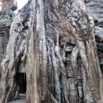 Angkor-16