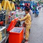 Battambang-Cambodge-